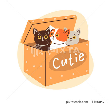 Cute colorful kittens playing and sitting inside in cardboard box vector, funny hiding pussycats looking out cutie pet 116605799