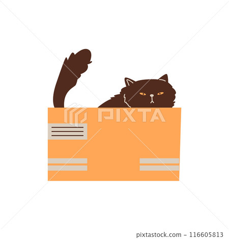 Cute grumpy black cat playing and sitting in cardboard box, vector flat funny hiding kitten, cartoon fluffy pet animal 116605813