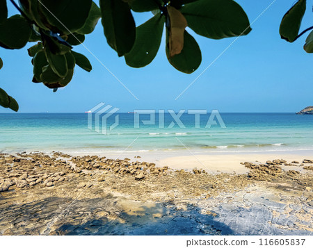 Peaceful beach scene with ocean waves and rocky shoreline Peaceful beach scene with ocean waves and rocky shoreline 116605837