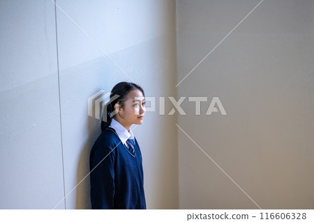 high school student, high-school student, student 116606328