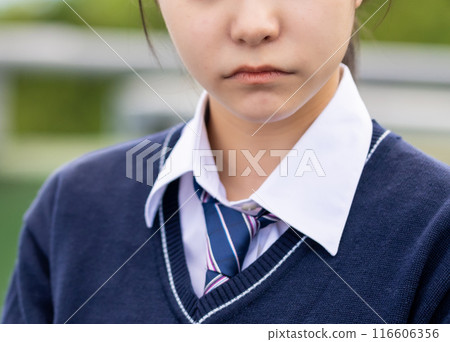 High school student's portrait 116606356