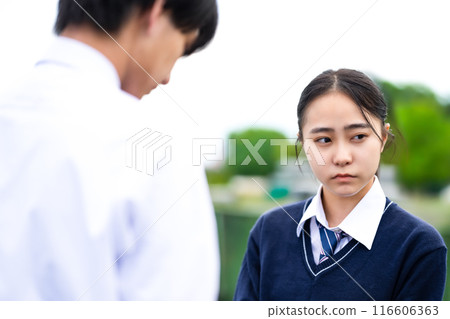 High school student's portrait 116606363
