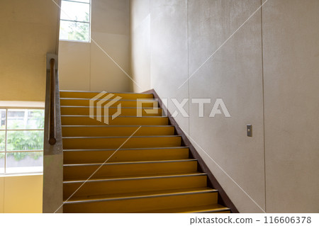 School stairs 116606378