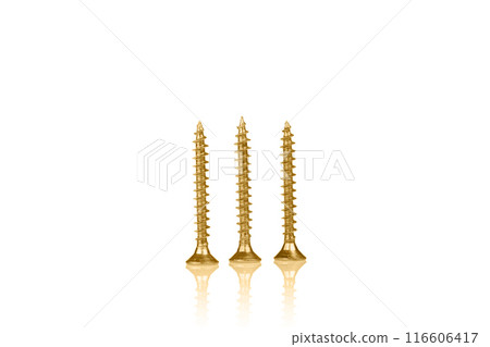macro screw of golden color on a white background macro screw of golden color on a white background 116606417