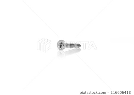 macro screw of silver color on a white background 116606418