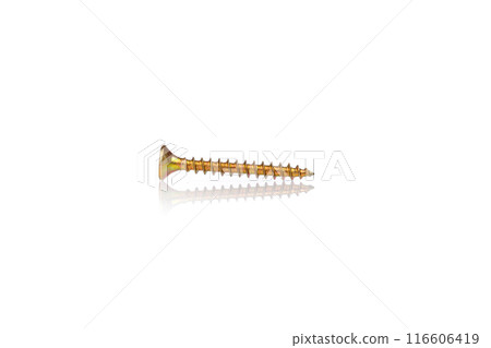 macro screw of golden color on a white background 116606419