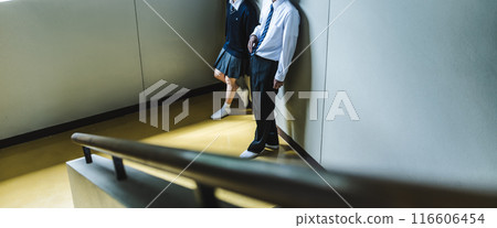 High school students talking on the landing of the stairs High school students talking on the landing of the stairs 116606454