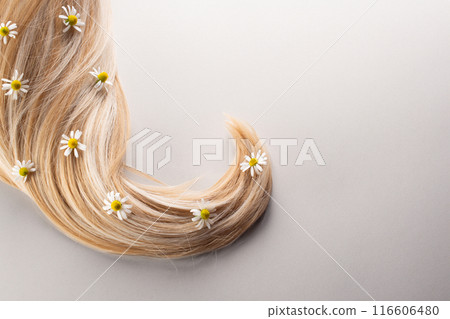 Fresh chestnut flowers and hair isolated on a white background. Hair loss concept. Flat lay. Copy space 116606480