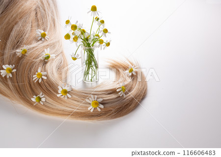 Fresh chamomile flowers and hair on the white background. Hair treatment concept. Close up 116606483