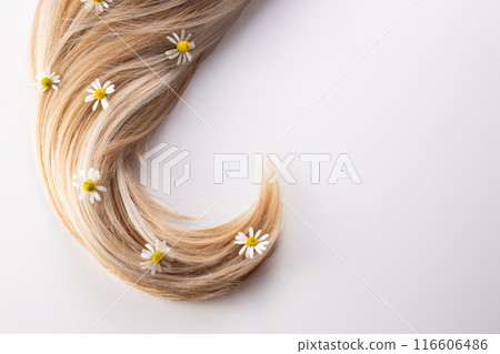 Fresh chestnut flowers and hair isolated on a white background. Hair loss concept. Flat lay. Copy space 116606486