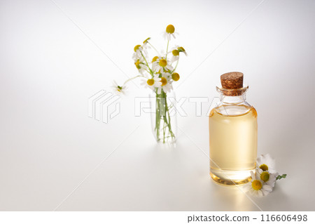 Fresh chamomile flowers and bottle with chamomile essential oil on white background. Hair treatment concept. Close up Fresh chamomile flowers and bottle with chamomile essential oil on white background. Hair treatment concept. Close up 116606498