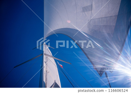Sails of a sailing yacht in the wind sailing on the sea at sun light 116606524
