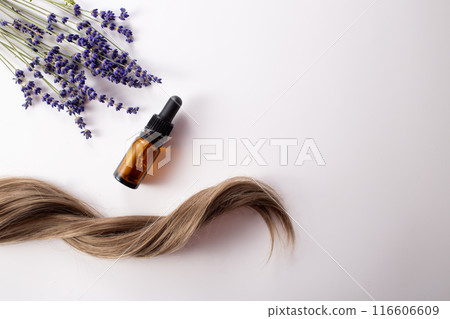 Fresh levander flowers, bottle of essential and hair on the white background. Hair treatment concept. Close up Fresh levander flowers, bottle of essential and hair on the white background. Hair treatment concept. Close up 116606609