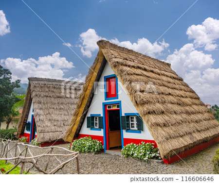 Traditional hut houses and garden of Madeira in village Santana. Sunny day in Portugal, tourist destination Traditional hut houses and garden of Madeira in village Santana. Sunny day in Portugal, tourist destination 116606646