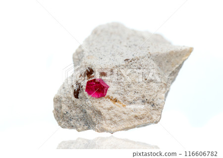 macro mineral stone tourmaline on a white background macro mineral stone tourmaline on a white background 116606782