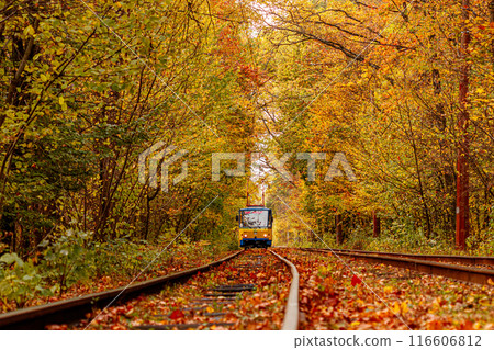 Autumn forest through which an old tram rides (Ukraine) Autumn forest through which an old tram rides (Ukraine) 116606812