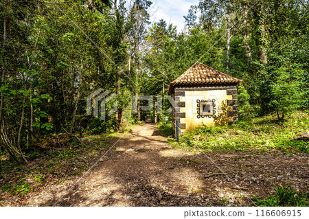 Calvary chapel in the way to the cross, via crucis, trail on ancient forest of Bussaco, in Luso, Aveiro in Portugal. 116606915