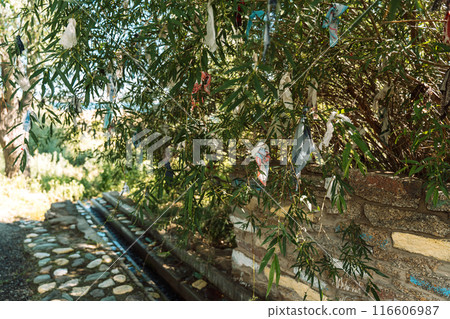 Ribbons and scarves are tied on hanging willow branches above the spring. Traditions for luck Ribbons and scarves are tied on hanging willow branches above the spring. Traditions for luck 116606987