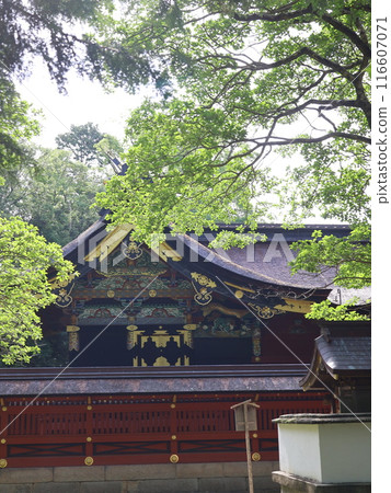 伊賀八幡宮,本宮的豪華裝飾 伊賀八幡宮,本宮的豪華裝飾 116607071
