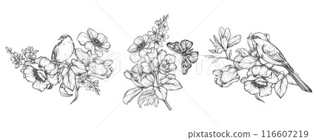 Set of three beautiful hand drawn vector compositions with black and white blooming spring garden flowers, birds, butterflies Set of three beautiful hand drawn vector compositions with black and white blooming spring garden flowers, birds, butterflies 116607219