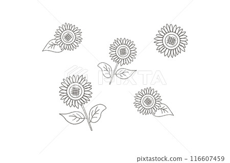 簡單的向日葵插圖/線描 簡單的向日葵插圖/線描 116607459