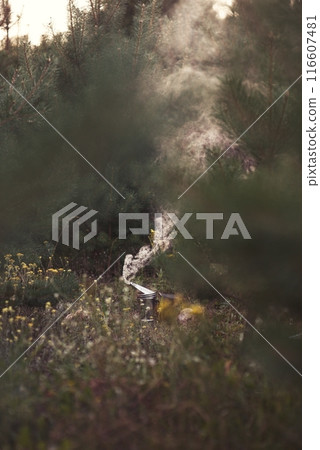 Beekeeper is working with bees and beehives on the apiary. 116607481