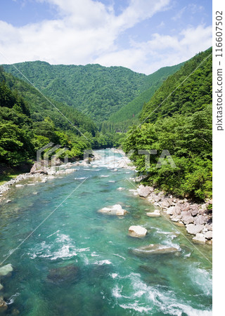 【夏日山川清流】岐阜縣馬瀨川上游 116607502