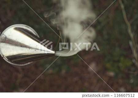 Beekeeper is working with bees and beehives on the apiary. 116607512