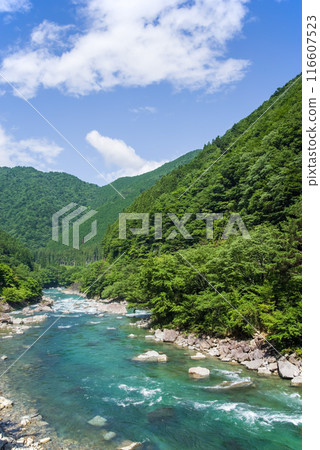 【夏日山川清流】岐阜縣馬瀨川上游 116607523