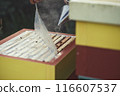 Beekeeper is working with bees and beehives on the apiary. 116607537
