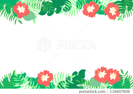 Tropical vector frame Tropical vector frame 116607606