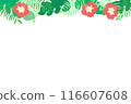 熱帶裝飾框架背景 116607608