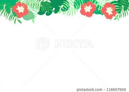 Tropical ornamental frame background Tropical ornamental frame background 116607608