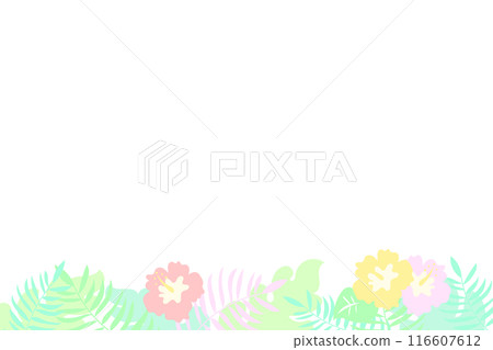 熱帶背景材料 熱帶背景材料 116607612