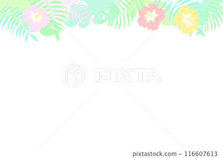 熱帶向量圖框架背景 熱帶向量圖框架背景 116607613