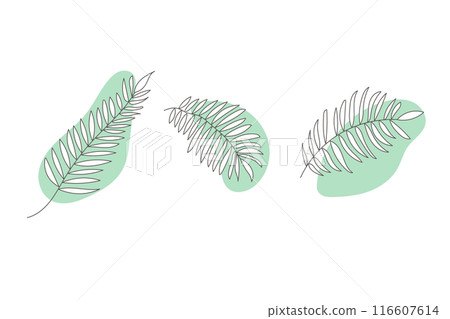 熱帶樹葉插畫素材 熱帶樹葉插畫素材 116607614