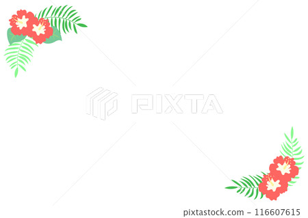 木槿花裝飾框 木槿花裝飾框 116607615