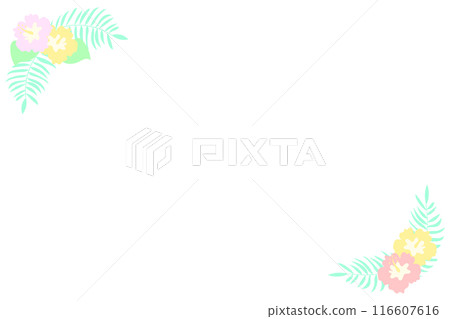 木槿花裝飾框 木槿花裝飾框 116607616