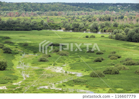 Natural landscape from bird's-eye view. Beautiful panorama 116607779