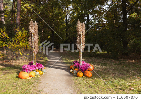 Autumn Garden Pathway Adorned with Pumpkins and Flowers. 116607870