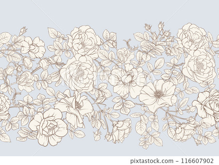 Rose flowers. Outline vector.  116607902
