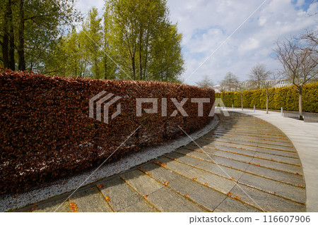 City park Krasnodar. An artificial fast-flowing river with granite banks flows around an evergreen hedge with a seating area. Public landscape Galitsky Park for recreation and walks. City park Krasnodar. An artificial fast-flowing river with granite banks flows around an evergreen hedge with a seating area. Public landscape Galitsky Park for recreation and walks. 116607906