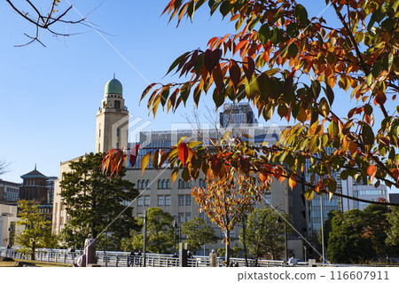 Autumn leaves in the Minato Mirai area 116607911