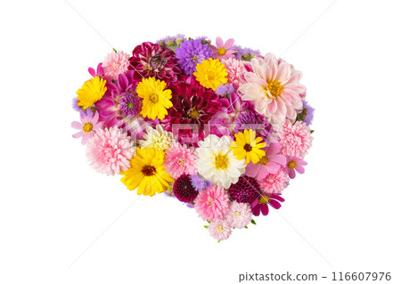 Multicolored floral arrangement laid out in shape of human brain, isolated on white background. Mental health concept, human health Multicolored floral arrangement laid out in shape of human brain, isolated on white background. Mental health concept, human health 116607976