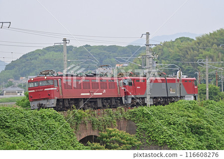 Kagoshima Main Line, Togo-Tofuku section, JR Freight, ED76-1017 (Moji) + EH500-23 (Sendai) Kagoshima Main Line, Togo-Tofuku section, JR Freight, ED76-1017 (Moji) + EH500-23 (Sendai) 116608276