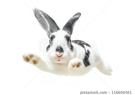 Analog touch, hand-drawn jump, cute rabbit running front, rabbit illustration Year of the Rat New Year's card material 116608361