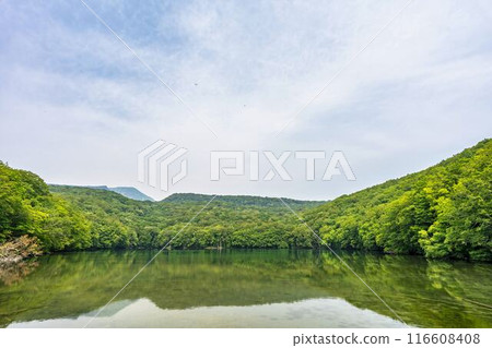 Tsutanuma Pond in summer. Early morning view from Tsutanuma Observatory. Towada City, Aomori Prefecture. 116608408