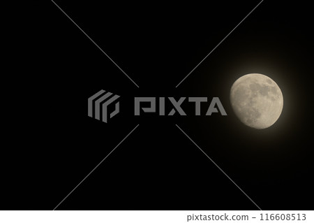 A thin veil-like cloud-covered May moon at lunar age 12.0 A thin veil-like cloud-covered May moon at lunar age 12.0 116608513