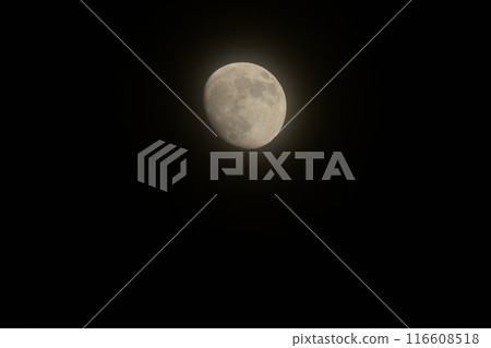 A thin veil-like cloud-covered May moon at lunar age 12.0 A thin veil-like cloud-covered May moon at lunar age 12.0 116608518