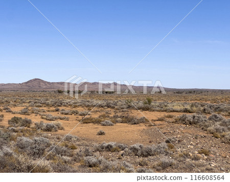 Mountains and dirt road in the Australian Outback Mountains and dirt road in the Australian Outback 116608564